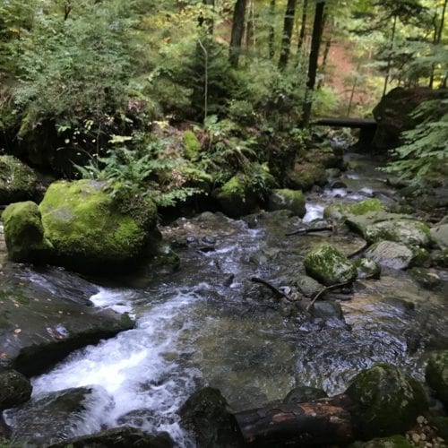 La rivière qui serpente entre les pierres