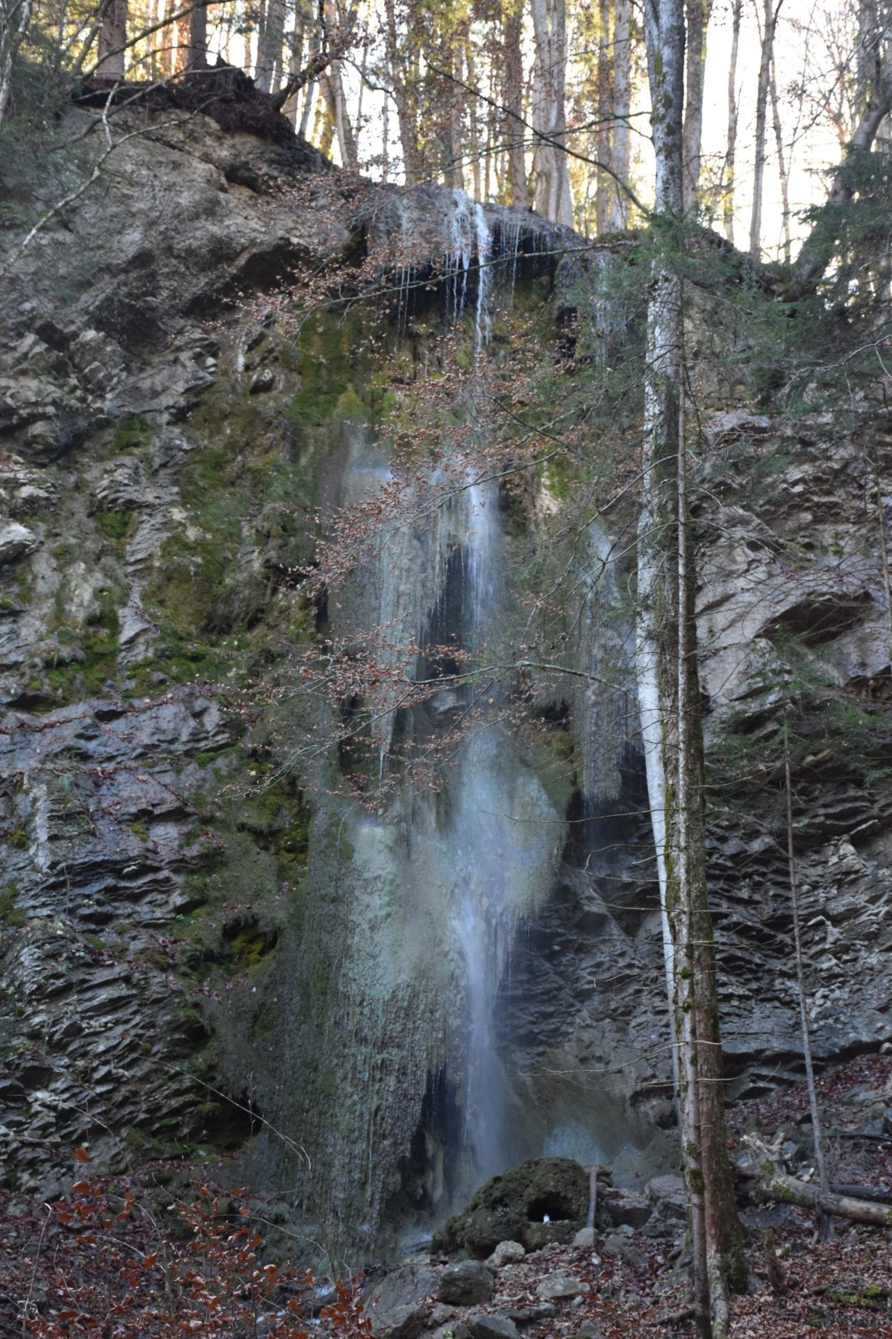 🆕 Les Gorges de la Jogne