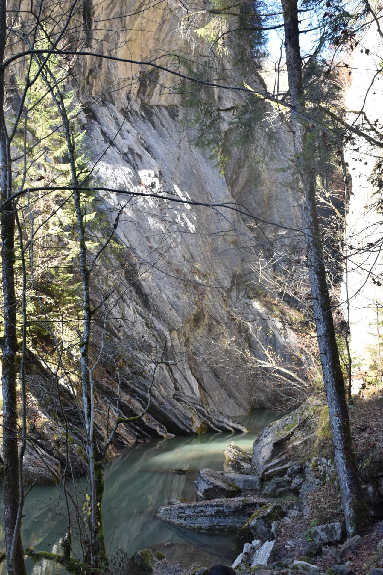 🆕 Les Gorges de la Jogne