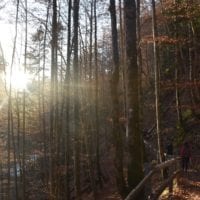 les lumières d'automne dans les gorges