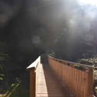 la passerelle en bois