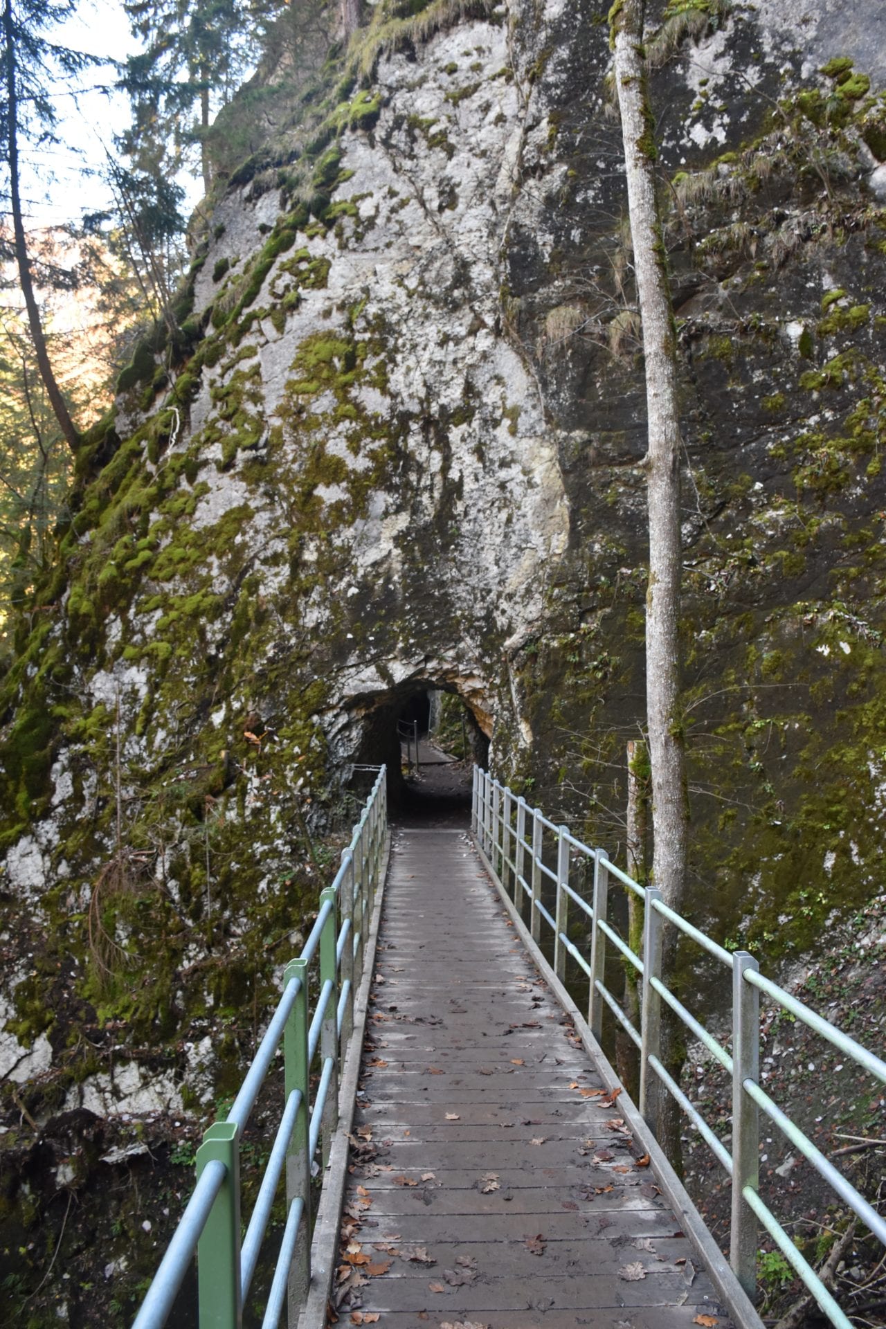 Les gorges de La Jogne, Dans les Gorges de la Jogne, en Gru…