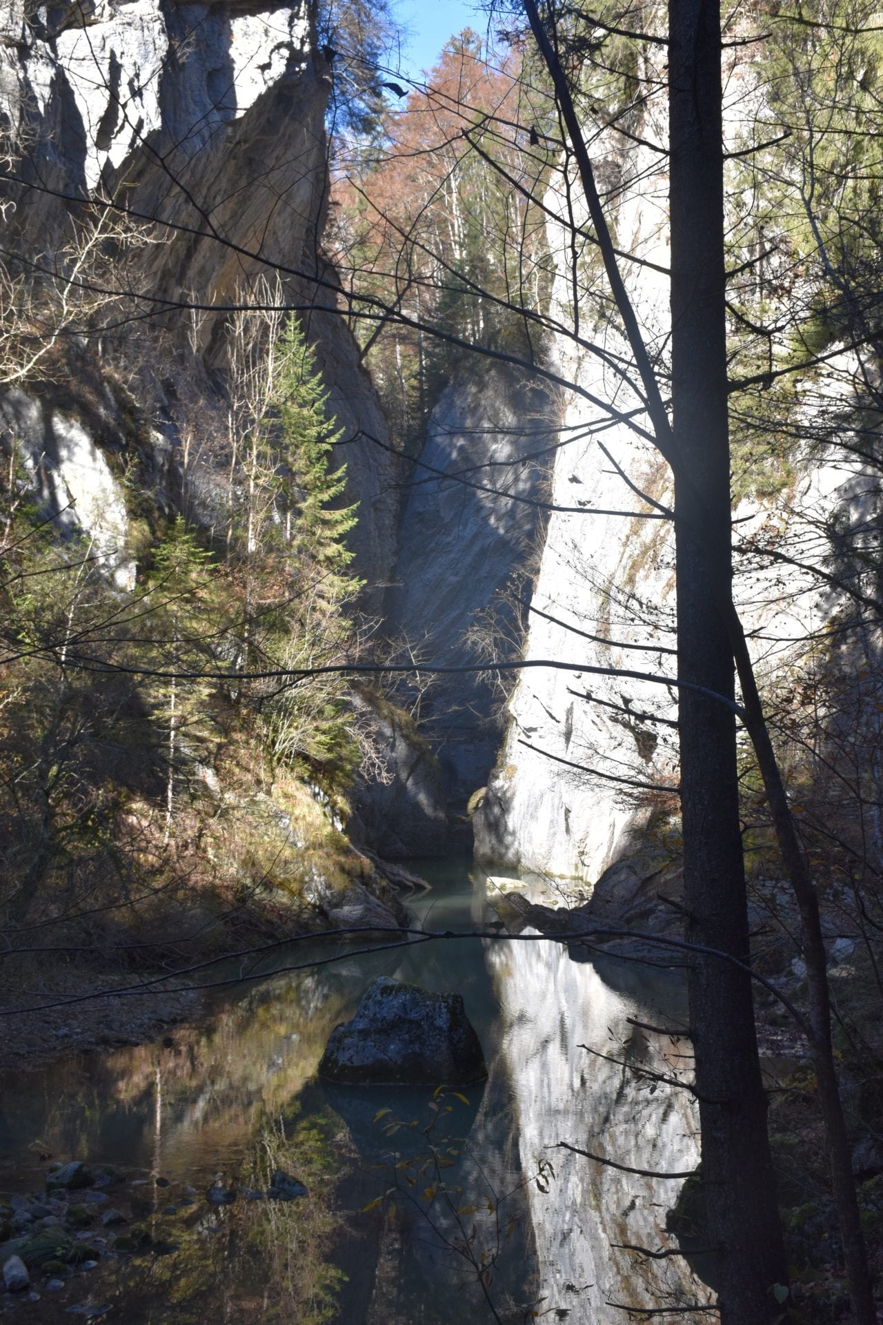 🆕 Les Gorges de la Jogne