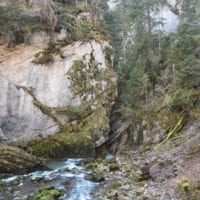 la jogne qui s'enfile dans les gorges