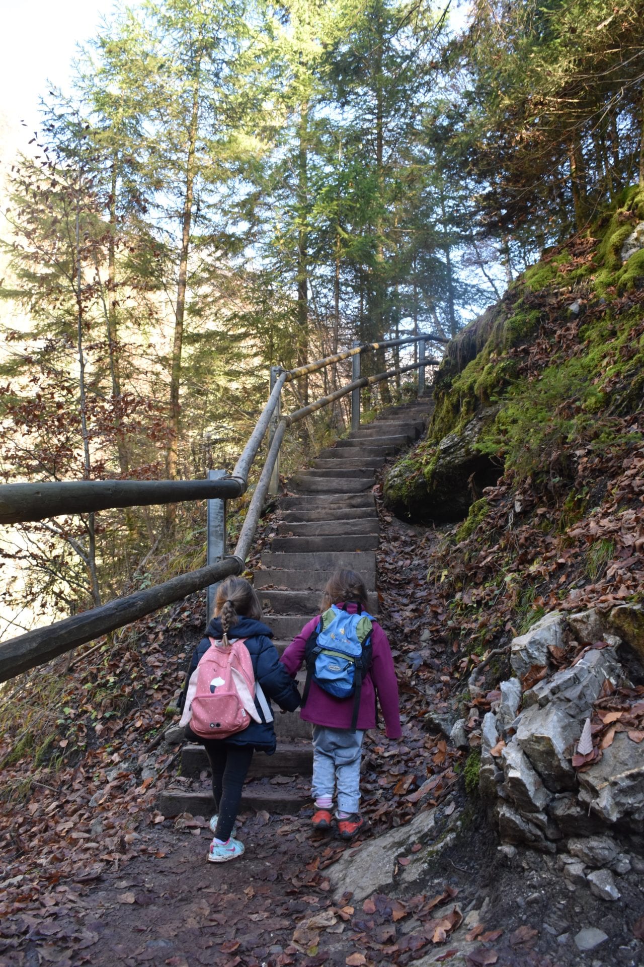 Les Gorges de la Jogne – Randonnée en famille à Gorges de la Jogne, Route  du Pessot, Broc, Suisse – Randos en Famille