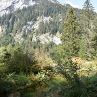 un étang du jardin alpin