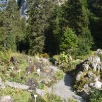 le jardin alpin et ses rocailles