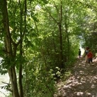 le chemin du bord du lac