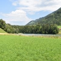 le champ au bord du lac
