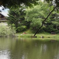 lac_des_joncs_auberge_2