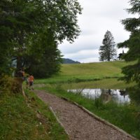 lac_des_joncs_sentier