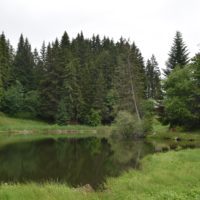 lac_des_joncs_vue
