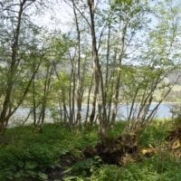 tour du lac noir
