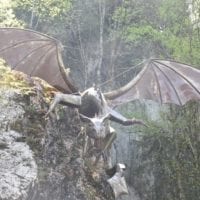 le dragon