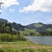 paysage du lac noir