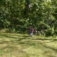 menhirs_clendy_forĂȘt