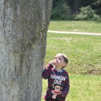menhirs_clendy_grandeur