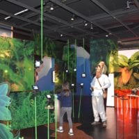 expo temporaire la jungle