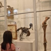 Musée de géologie espace paléontologie
