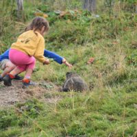 parc_aventure_point_sud_marmotte