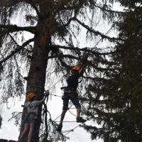 parc_aventure_point_sud_parcours_grands
