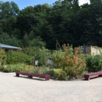le jardin des sentiments