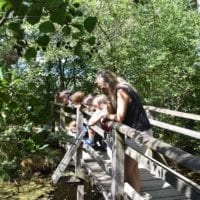 observation depuis un pont