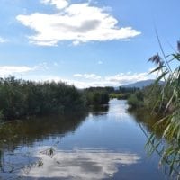 la reseve naturelle de la grande cariçaie