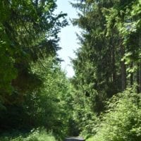 en suivant le chemin