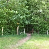 un chemin vers la foret