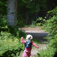 une petite fille en foret