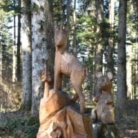animaux de la forĂȘt