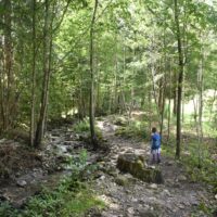 sentier_sorcières_aune