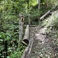 sentier_sorcières_empreinte