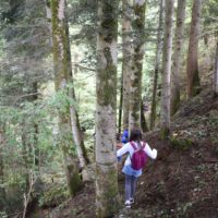 sentier_sorcières_pente