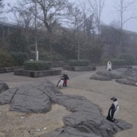 les statues des manchots