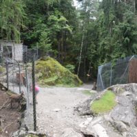 zoo_marécottes_espaces